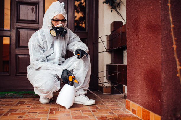 Reliable Cockroach Control contractor in Florin, CA by Nex Pest Control